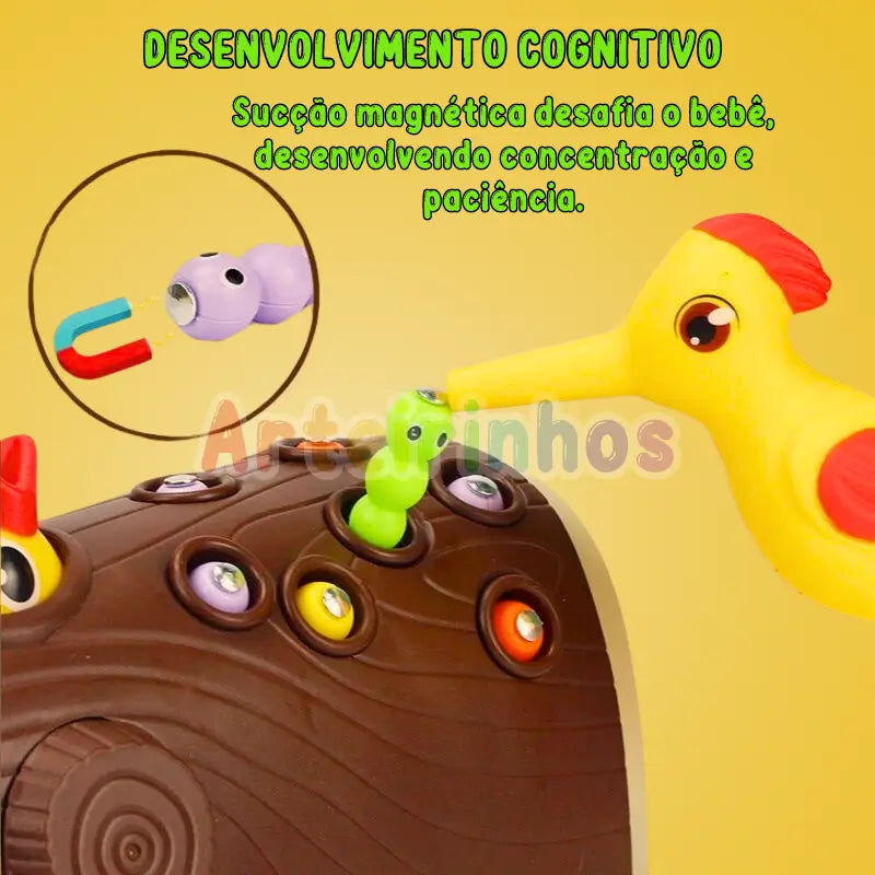 Pájaro carpintero magnético - Montessori